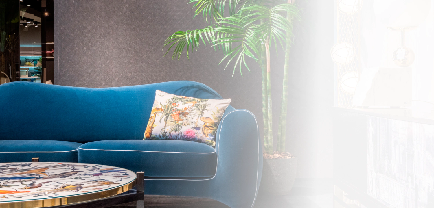 livingroom and blue sofa